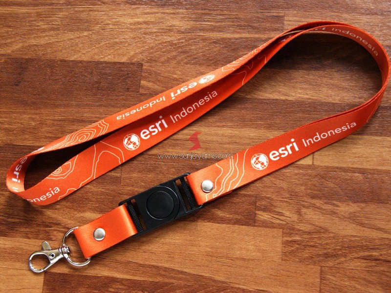 Souvenir Lanyard - Esri