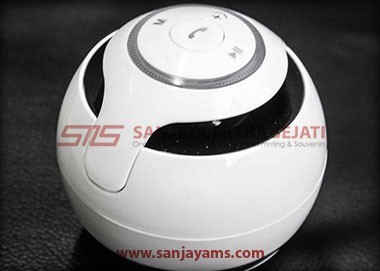 Bluetooth Speaker (BS01)