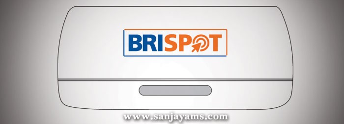 Bluetooth Speaker BRI Spot