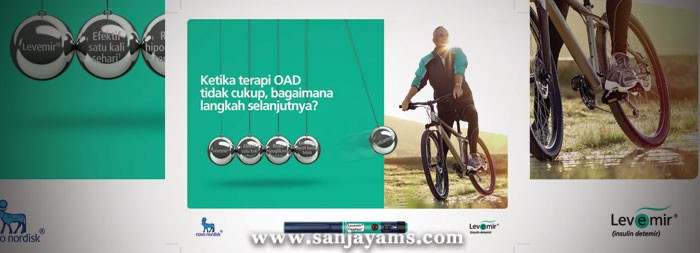 Booklet Levemir PT Novo