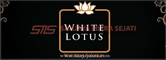 Company Profile White Lotus