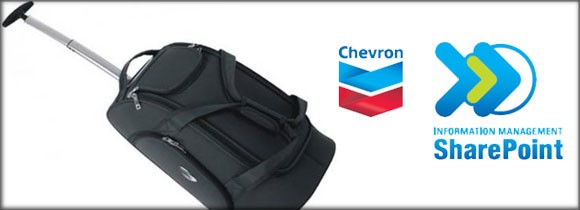 Travel Bag Chevron