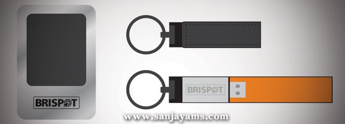 USB Kulit BRI Spot