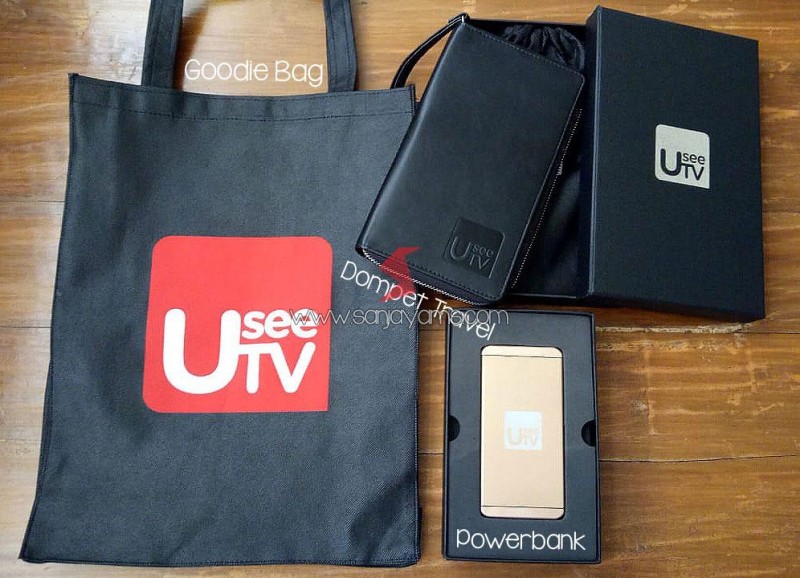 Souvenir Usee TV