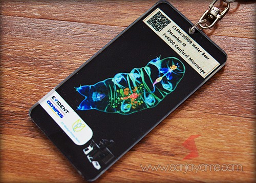 Gantungan Arcylic Custom - Olympus