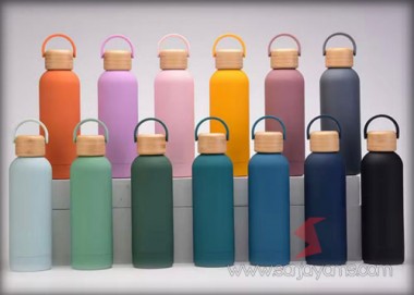 Vacuum Thermos (TV43)