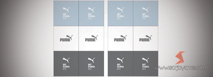Coaster PUMA