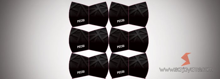 Masker kain PECGI