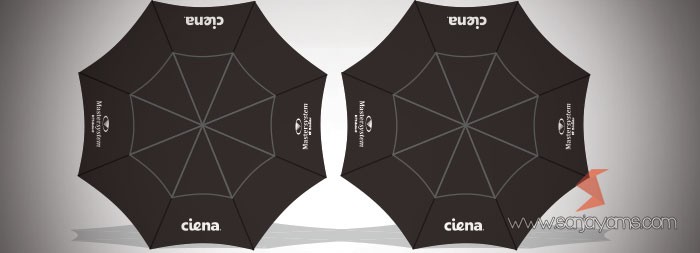 Payung Mastersystem & Ciena