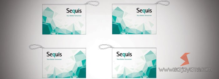 Pouch Printing Sequis