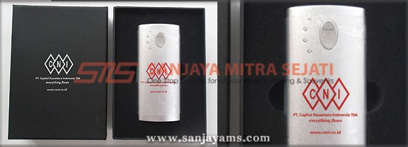 Power Bank PT CNI
