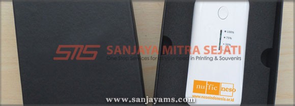 Powerbank Nuffic Neso