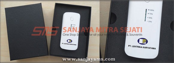 Powerbank PT Lektrika
