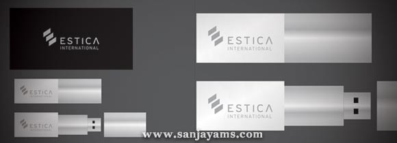 USB Crystal PT Estica