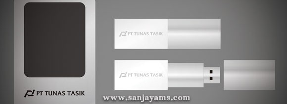 USB Crystal PT Tunas Tasik