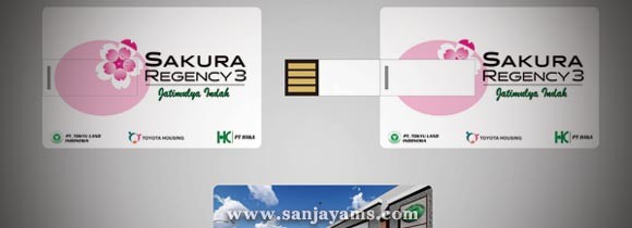 USB Kartu PT Haka