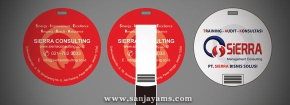 USB Mini Sierra Consulting