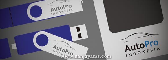 USB OTG Auto Pro Indonesia