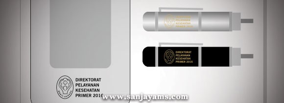 USB Pen 3 Fungsi Direktorat Pelayanan Kesehatan