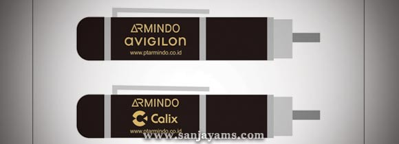USB Pen PT Armindo