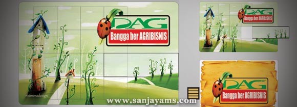 USB Puzzle BRI Agribisnis
